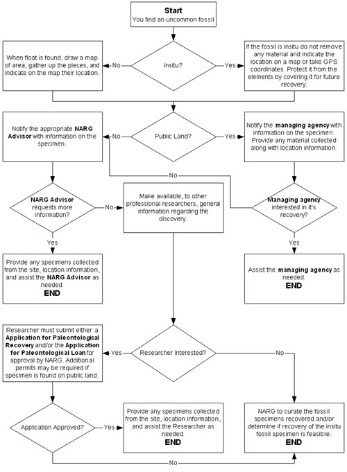 Paleo Flow Chart