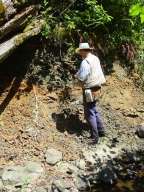 lincoln creek formation