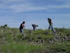 Cracking concretions in search of ammonites