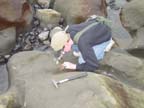 MacKenzie investigating a fossil