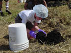 MacKenzie working though a bucket load of peat