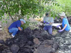 Andrew, Aaron, and volunteer (left to right)