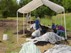 Working through peat with a tent to beat the heat