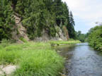 Upstream from the Mist Bluffs