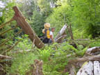 Andy crossing the log jam