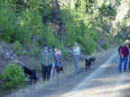 Clarno Formation site