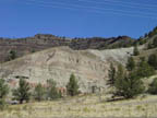 First collecting site in the John Day Formation