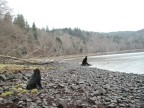 Victor enjoying the view of the Columbia River