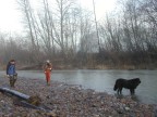 Andy Burkholz, Andrew Bland, and Victor collecting along the banks of Salmon Creek