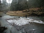Andrew Bland collecting gravel bar on Salmon Creek