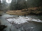 Andrew Bland collecting gravel bar on Salmon Creek