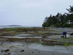 Empire Formation - Coos Bay, Oregon