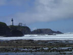 Astoria Formation - Newport, Oregon