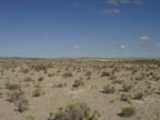 More ancient lake bed, sure looks like a desert to me