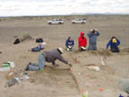 Overview of horse excavation